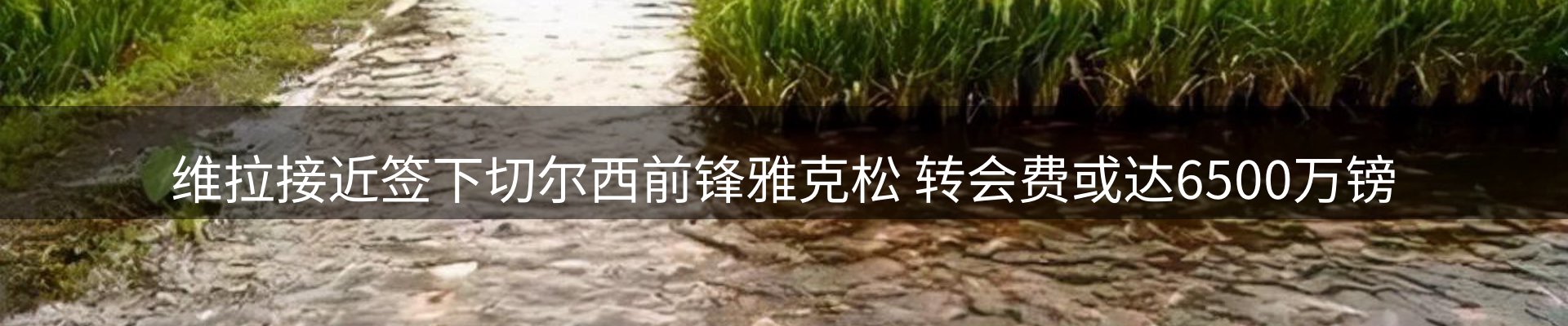综合资讯