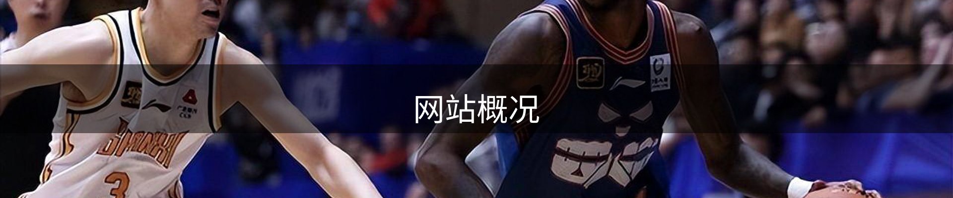 网站概况