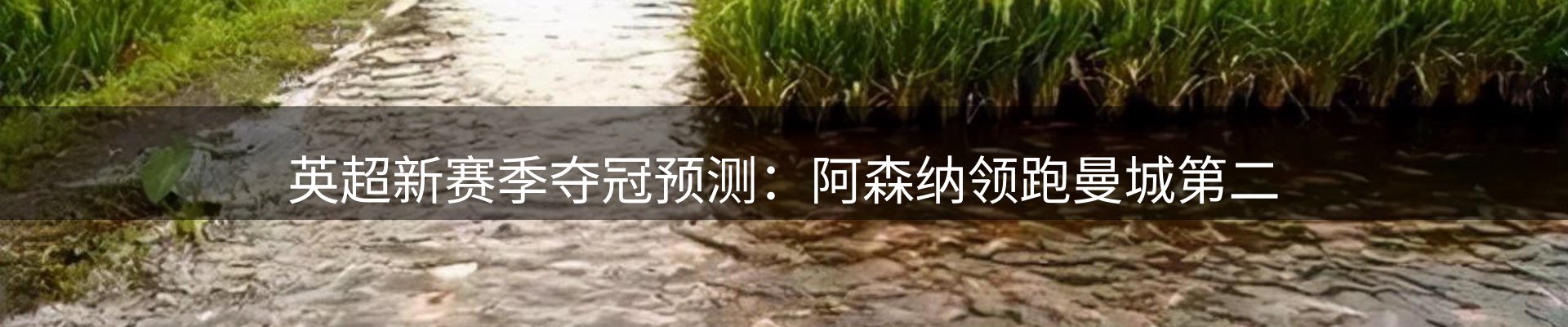 综合资讯
